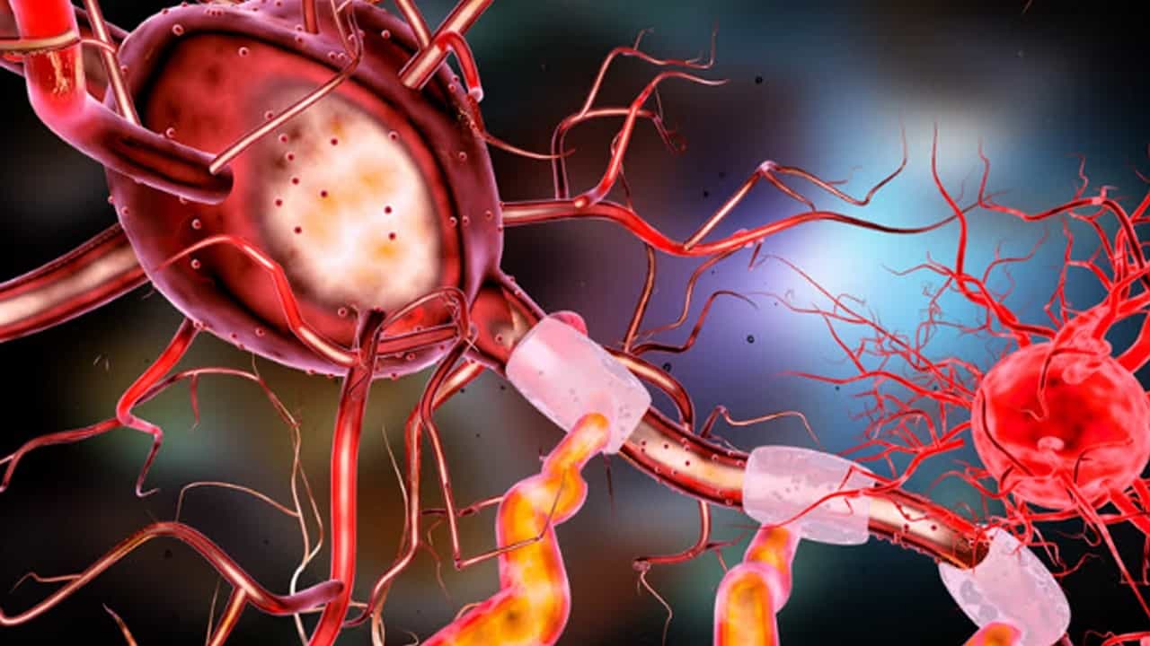 Sinirbilimde Büyük Keşif: Yeni Hibrit Beyin Hücresi Beyin Hastalıkları İçin Umut Oldu